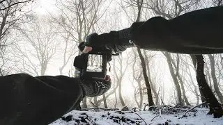 POV Nature Photography | Winter Forest | Tamron 35-150mm f/2-2.8