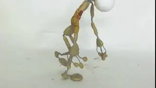 wakl 001 01