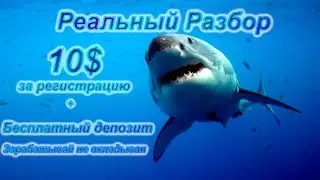 10$ За Регистрацию. Это Нереально. Смотри До Конца