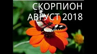 СКОРПИОН - ТАРО ПРОГНОЗ НА АВГУСТ 2018 года