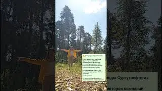 Переходите ко мне в профиль, там еще больше полезной информации про деньги и инвестиции #деньги