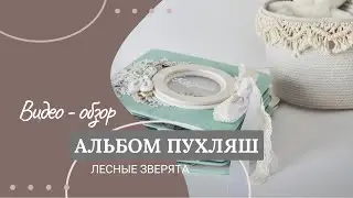 Альбом для малыша. Скрапбукинг. Видео - обзор.