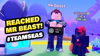 I Met Mr. Beast in Sea Cleaning Sim!