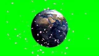 Earth Rotation (only and with) Cherry Blossom Petals HD Animation - green screen effect & overlay