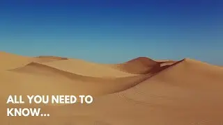 How to SURVIVE in the SAHARA DESERT
