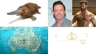 100 Fun Facts about Australia