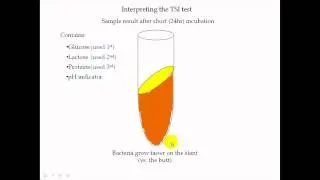 TSI Test Part 1