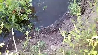 Уровень воды в Урале поднялся на 10 см.г Новотроицк,Оренбургская область