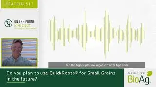 Improved Plant Health Instills Confidence in QuickRoots® Technology for Wheat