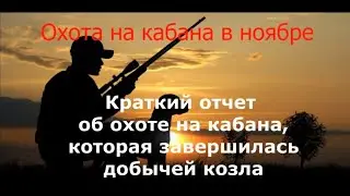 Охота на кабана которая завершилась добычей козла
