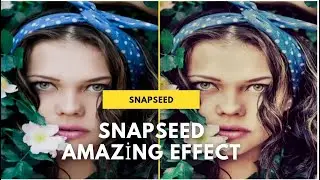 Snapseed Photo Editing Tricks 2021