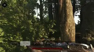 Hunt: Showdown -2020-.11.10. 1 - bug/crash again