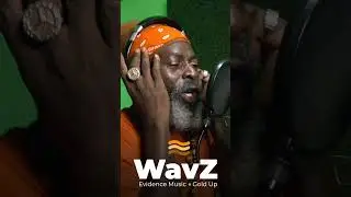 Capleton & Mixing Finga - Mi Deh Yah | WavZ Session