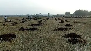 All odish eztama niali ,cuttack