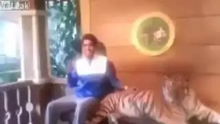 Немножечко очканул! Прикол с тигром! Прикол! Смех! Юмор!