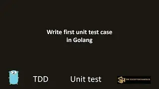 Unit Testing with Golang.