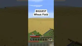 Harvesting ALL The Wheat At Once!