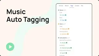 Music Auto Tagging on Bridge.audio