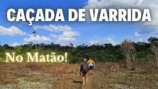 Sweeping Hunt in Matão!