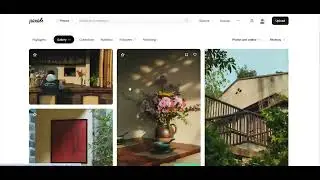 Pexels API Demo