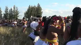 Wengonyama yamakhosi akwaZulu ndabezitha wena wesilo