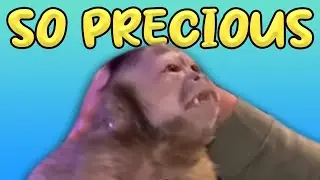 Cherishing Lifes Best Moments 🐒💞