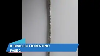 IL BRACCIO FIORENTINO - FASE 2