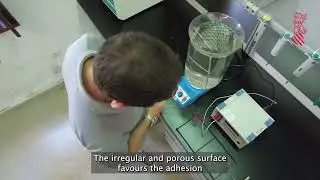 ARRECIFES ARTIFICIALES PARA REGENERAR EL HÁBITAT MARINO DE FORMA SEGURA Y SOSTENIBLE