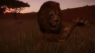 ASMR | Let's tour some virtual zoos! | Planet Zoo Beta 🦁🐘🦒