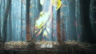 Pure BASS Shamanic Drumming - Manipura Chakra - Transformative Fire Energy - Eagle - Deep Trance