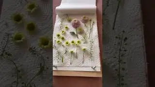 DIY Super Easy Flower Press for dried flowers craft art
