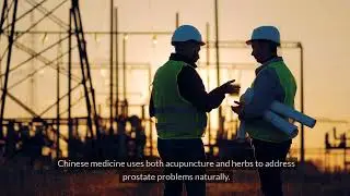 Best Chinese Herbs for Prostate Health