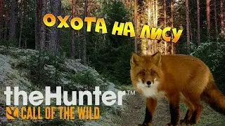 theHunter Call of the Wild #3 - Охота на лису | Основы охоты