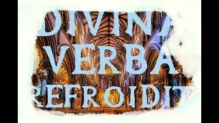 Divina Verba/Les mains froides : Oldelaf