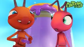 Jammed🍇| Funny Cartoons For All The Family! | Funny Videos for kids | ANTIKS