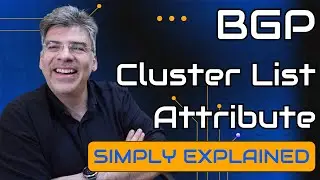 BGP - What is the BGP Cluster List Attribute?