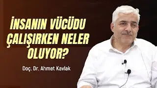 Doç. Dr. Ahmet Kavlak - İnsanın Vücudu Çalışırken Neler Oluyor?