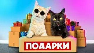 Подарки от подписчиков для наших домашних животных 2 / SANI vlog