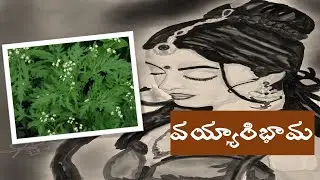 Vayyari bhama :భారతీయ వ్యవసాయాన్ని దెబ్బతీసిన వయ్యారిభామ