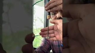 Demonstration of homopolar motor