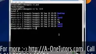 mv Command IN UNIX