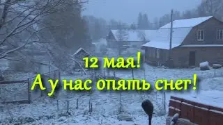 12 мая! А у нас опять снег!!! Снег в мае!