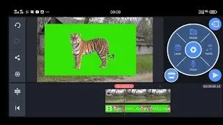 how to use green screen effect // chrome key android  kinemaster Editing tiger