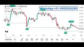 Tradingview Best Free Scalping Indicator ll Option Trading 