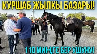 ЖЫЛКЫ БЭЭ БАЙТАЛ ТАЙ БААЛАРЫ 🤯 #байтв