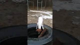 Сила притяжения
