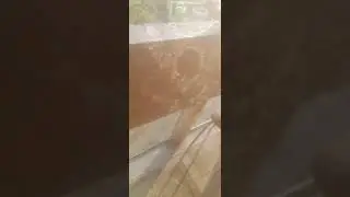 утро на даче 6:30