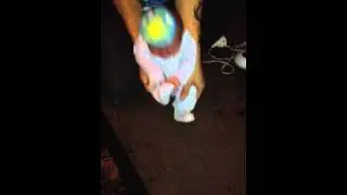 luca dancing