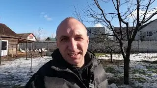 Планы,новости по инкубационному яйцу