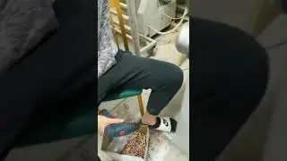 god level workers 😂😂 #shorts #cool #funny #tech #satisfying #satisfyingvideo #crazy #workers
